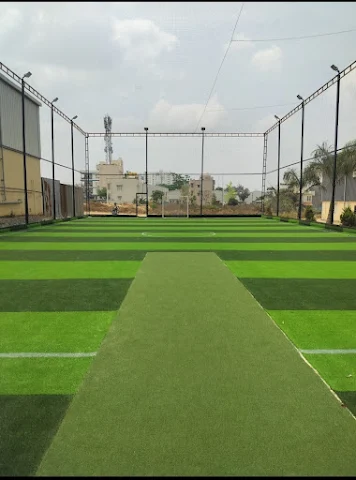 Turf photo 7