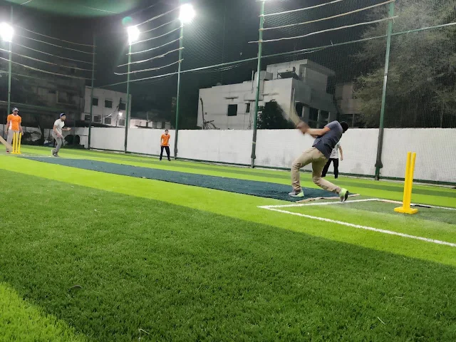 Turf photo 2