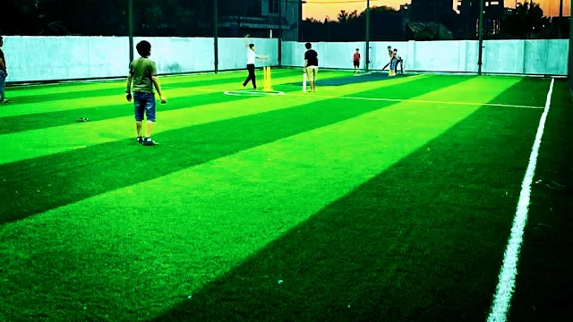 Turf main photo