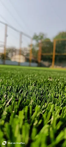 Turf photo 2