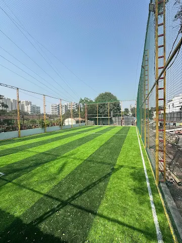 Turf photo 3