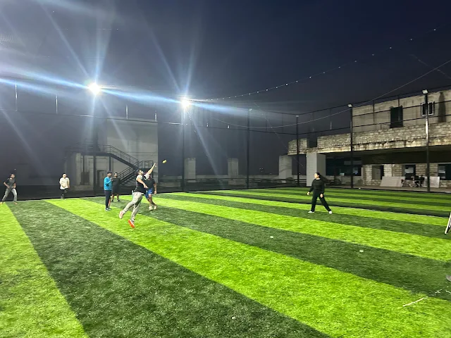 Turf photo 2