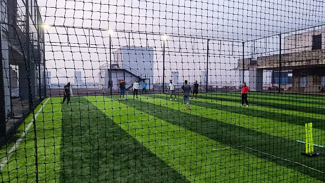 Turf photo 4