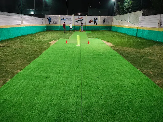 Turf photo 2