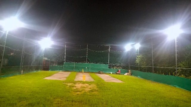 Turf photo 2