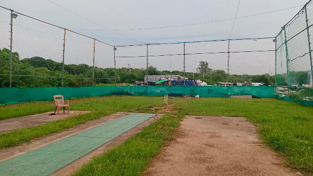 Turf photo 3