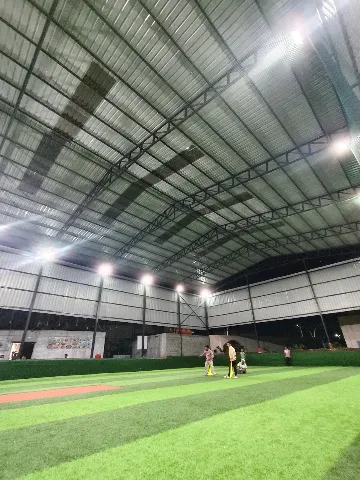 Turf photo 2