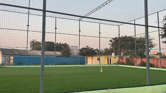 Turf photo 4