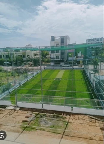 Turf photo 2