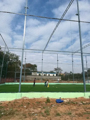 Turf photo 5