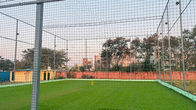 Pro Zone Box Cricket