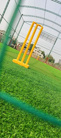 Turf photo 2