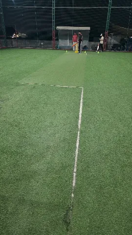 Turf photo 4