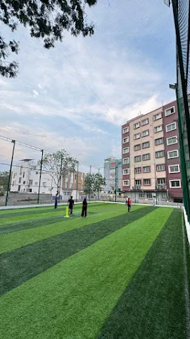 Turf main photo