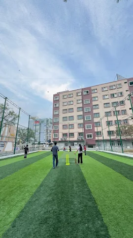 Turf photo 5