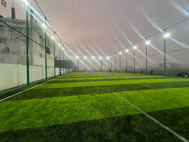 Turf photo 2
