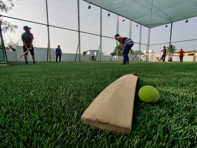 Skybox Turf