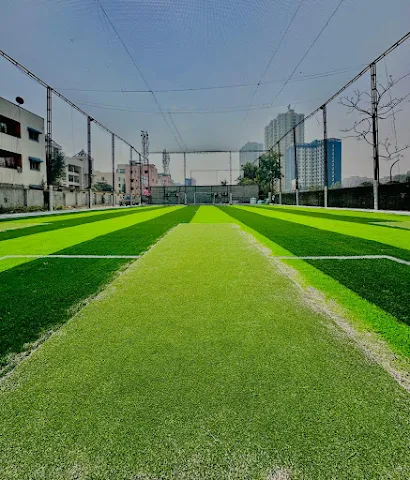 Turf photo 2