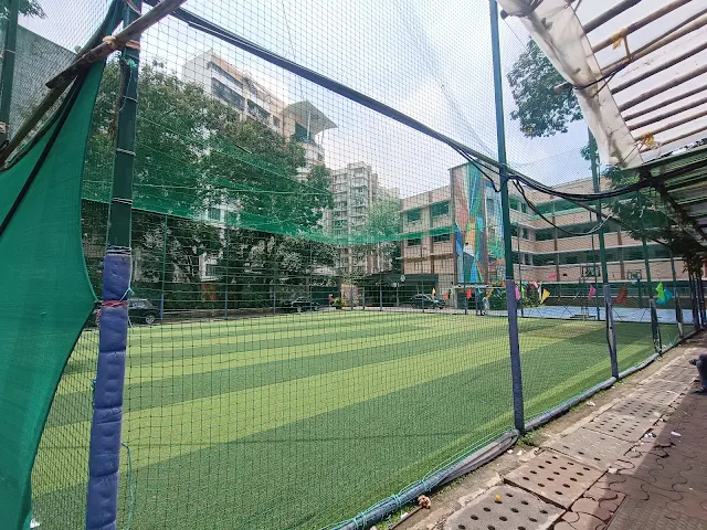 Turf photo 3