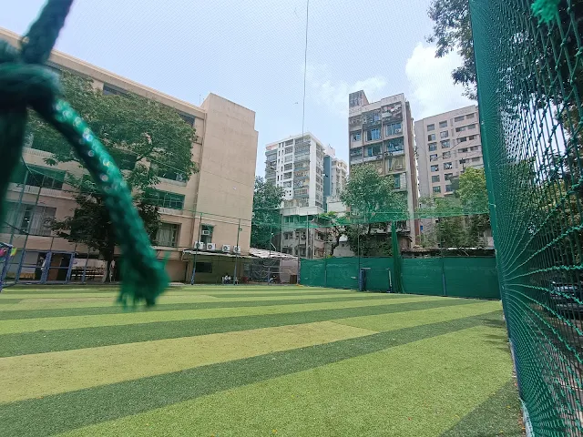 Turf photo 6