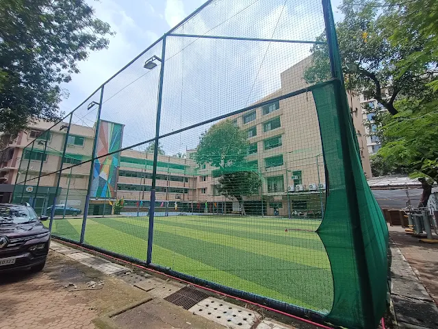 Turf photo 7
