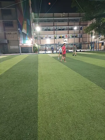 Turf photo 2