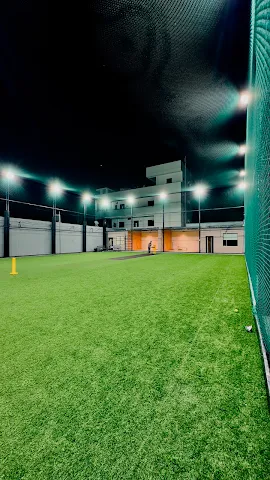 Turf photo 4
