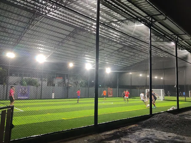 Turf main photo