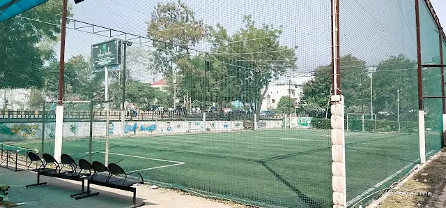Turf photo 2