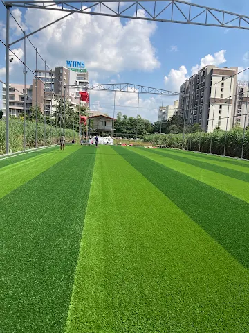 Turf photo 5