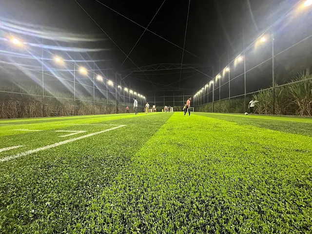 Turf photo 4
