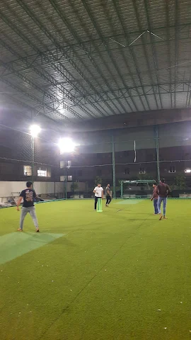 Turf photo 4