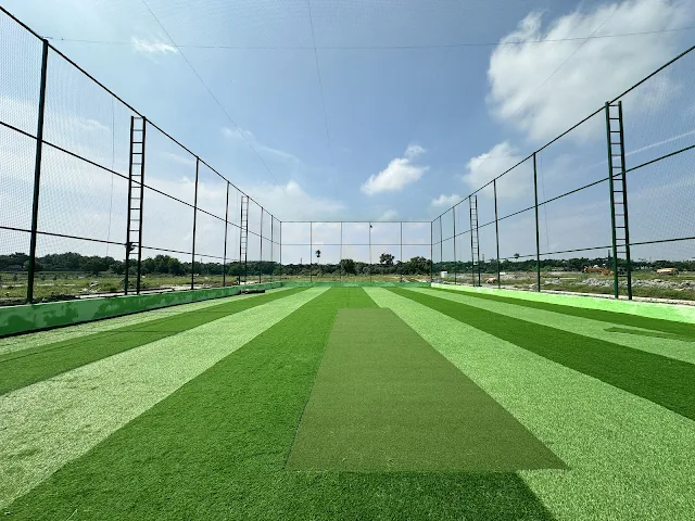 Turf main photo