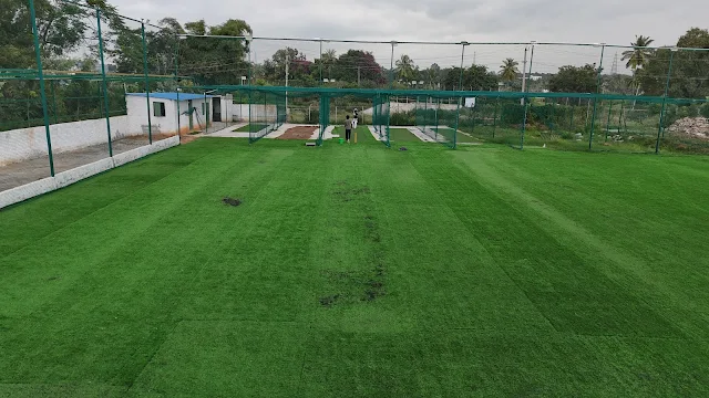 Turf main photo