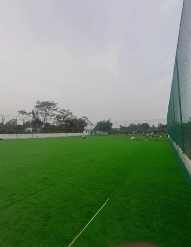 Turf photo 4
