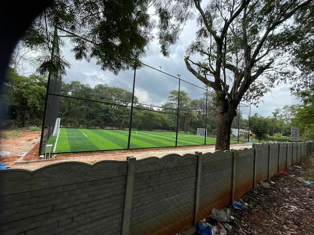 Turf photo 3