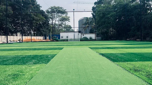 Turf main photo