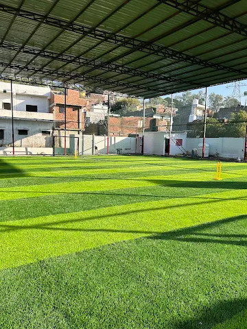 Turf photo 4