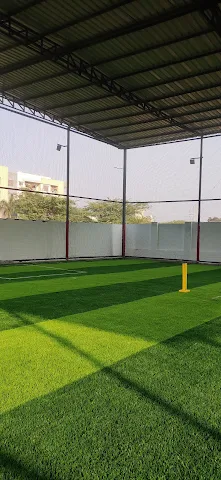 Turf photo 2