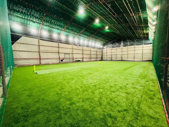 Turf photo 2