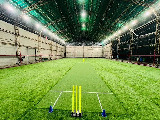 Spin Arena Turf