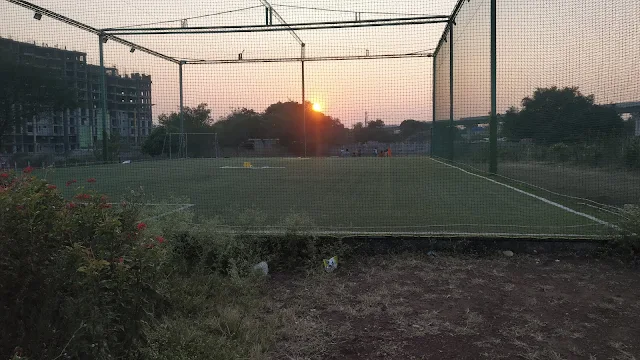 Turf photo 7
