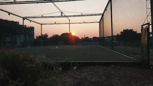 Turf photo 12
