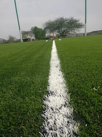 Turf photo 8