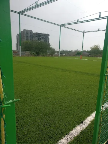 Turf photo 2