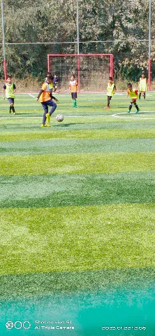Turf photo 3