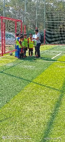 Maestro Turf and Sports Academy