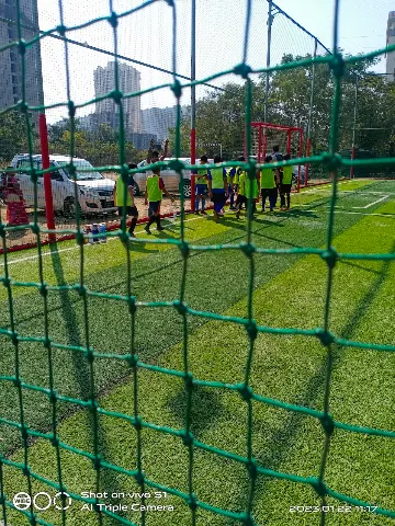Turf photo 2