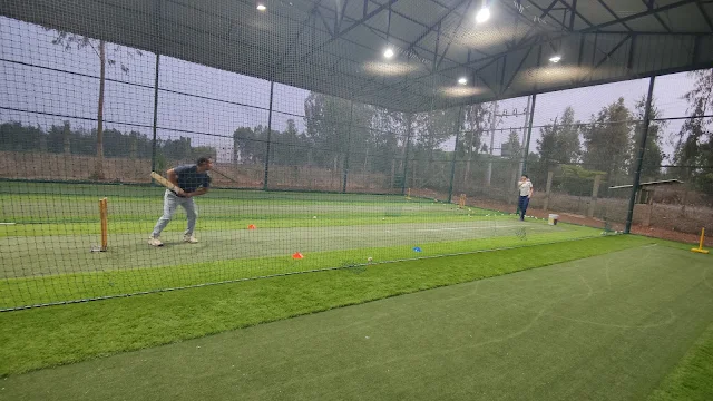 Turf main photo