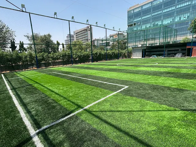Turf photo 2